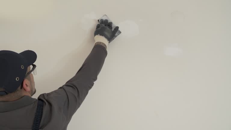 Best Repainting for Renovations  in Mount Olive, IL